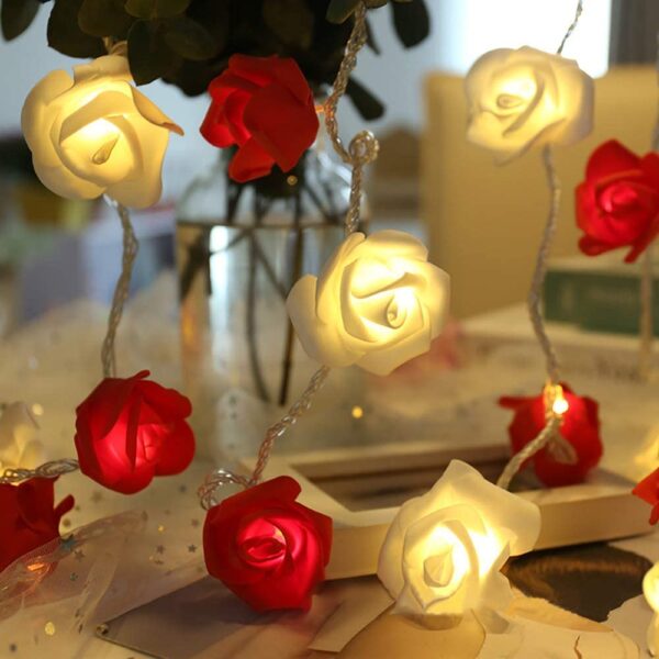 20 Red N White Rose Fairy Lights