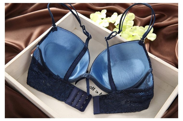 Luxurious Vintage Lace Push Up Bra Set