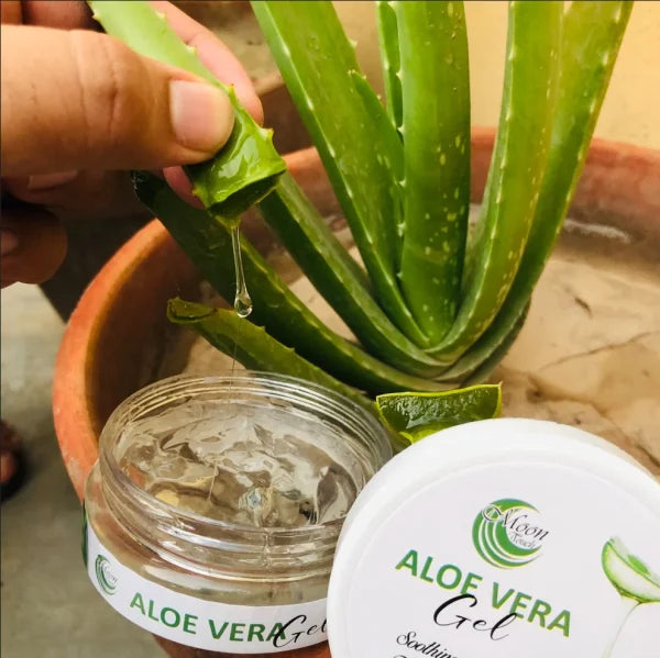 Aloe Vera Gel (100g)