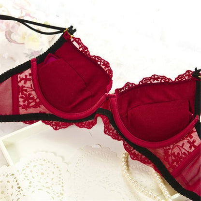 Women Lace Underwear Bra Sets & Briefs